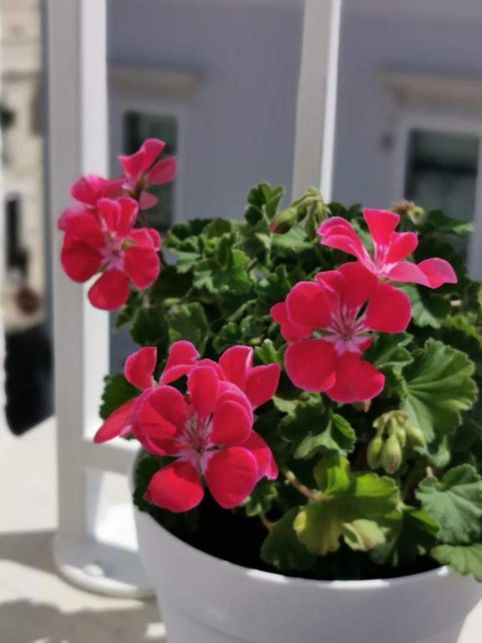 Casa Chiara Apartment Монополи Екстериор снимка