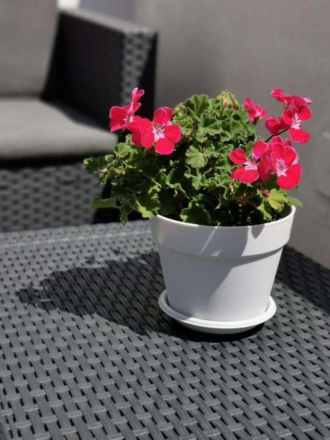 Casa Chiara Apartment Монополи Екстериор снимка
